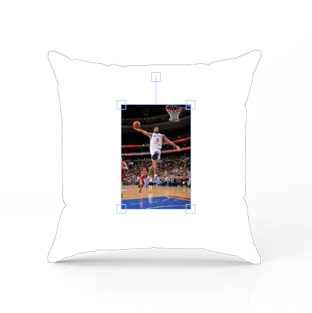 Andre Iguodala Pillow