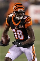 A. J. Green Sweatshirt #3480582