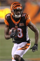 A. J. Green Sweatshirt #3480584