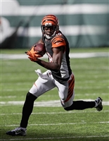 A. J. Green Sweatshirt #3480587