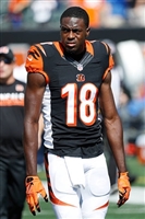 A. J. Green mug #G1722829