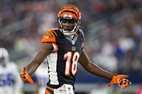 A. J. Green tote bag #G1722833