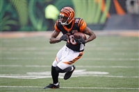 A. J. Green Sweatshirt #3480609
