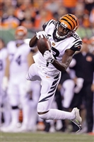A. J. Green Longsleeve T-shirt #3480610