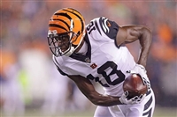 A. J. Green mug #G1722846