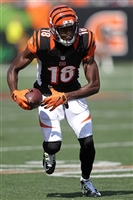 A. J. Green mug #G1722854