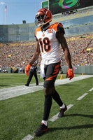 A. J. Green mug #G1722856