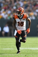A. J. Green Sweatshirt #3480627