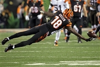 A. J. Green hoodie #3480636