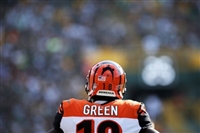 A. J. Green mug #G1722868