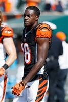 A. J. Green hoodie #3480650