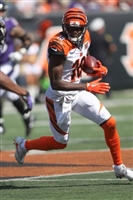 A. J. Green Sweatshirt #3480653