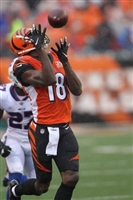 A. J. Green tote bag #G1722891