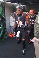 A. J. Green Sweatshirt #3480664