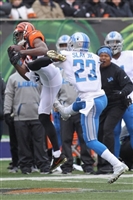 A. J. Green Sweatshirt #3480667