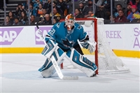 Aaron Dell Sweatshirt #3575836