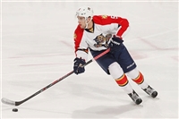 Aaron Ekblad Longsleeve T-shirt #3555220