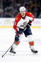 Aaron Ekblad hoodie #3555235