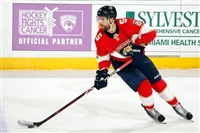 Aaron Ekblad magic mug #G1797500