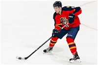 Aaron Ekblad magic mug #G1797520