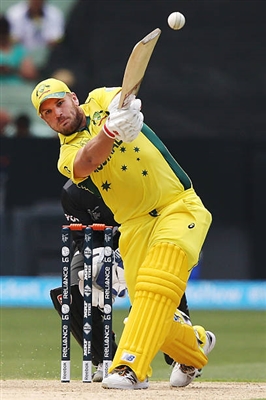 Aaron Finch wooden framed poster
