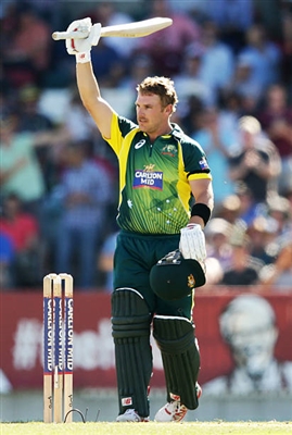 Aaron Finch canvas poster
