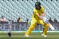 Aaron Finch Sweatshirt #3705406