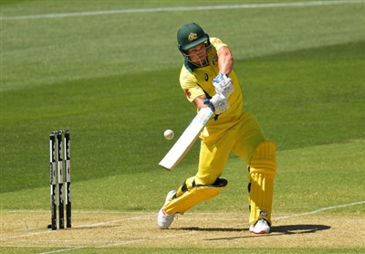 Aaron Finch posters