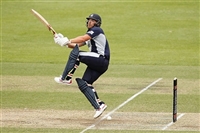 Aaron Finch tote bag #G2322720