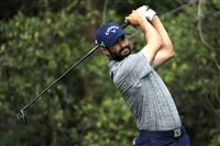 Adam Hadwin mug #G1742154