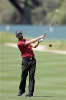 Adam Hadwin mug #G1742335
