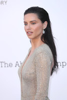 Adriana Lima longsleeve t-shirt #3301972