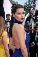 Adriana Lima tote bag #G2460217