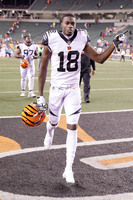 A.j. Green mug #G2577239