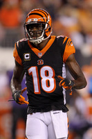 A.j. Green mug #G2577246