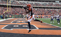 A.j. Green mug #G2577258