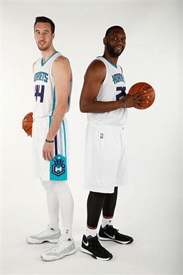 Al Jefferson posters