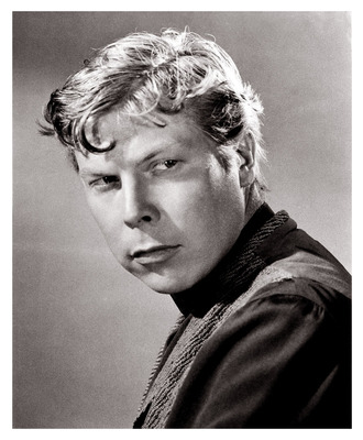 Albert Salmi posters