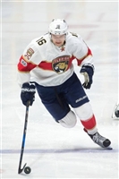 Aleksander Barkov mug #G1778630