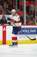 Aleksander Barkov Longsleeve T-shirt #3961195