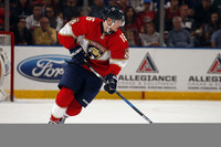 Aleksander Barkov Longsleeve T-shirt #3961233