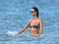 Alessandra Ambrosio Sweatshirt #2729079