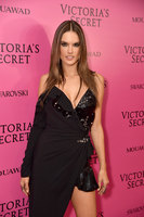 Alessandra Ambrosio Sweatshirt #2878005