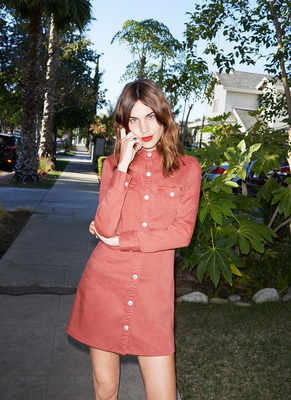 Alexa Chung Poster 2473447