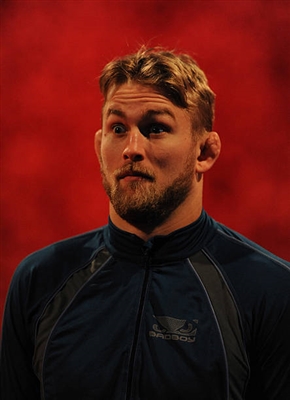 Alexander Gustafsson Poster 3512996