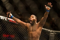 Alexander Gustafsson Tank Top #3513008