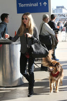 Amanda Seyfried tote bag #G1185939