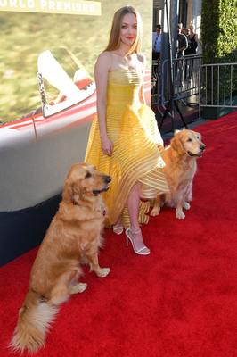 Amanda Seyfried posters