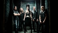 Amy Lee & Evanescence Promos hoodie #1987510