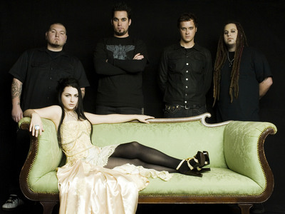 Amy Lee & Evanescence Promos wooden framed poster